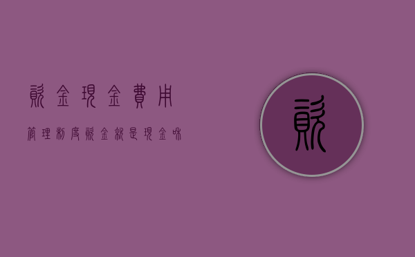 资金、现金、费用管理制度（资金就是现金和银行存款）