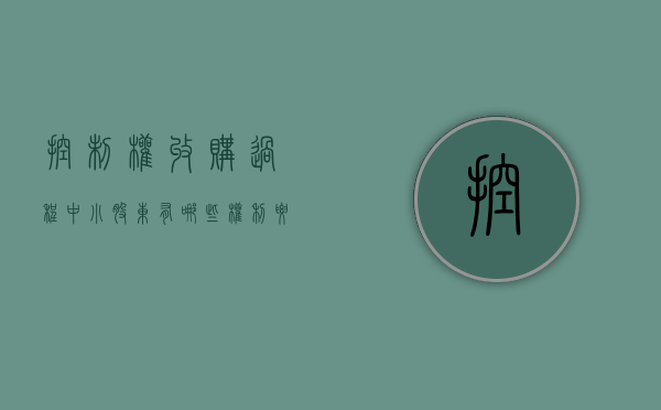 控制权收购过程中小股东有哪些权利要保护公司（控制权性收购）