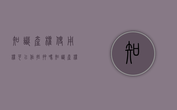 知识产权使用权可以作抵押吗（知识产权可以抵押么）