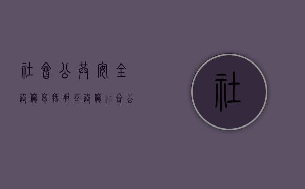 社会公共安全设备包括哪些设备（社会公共安全设备包括什么）