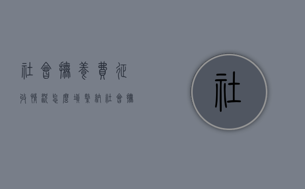 社会抚养费征收情况怎么填（缴纳社会抚养费需要提供什么材料）