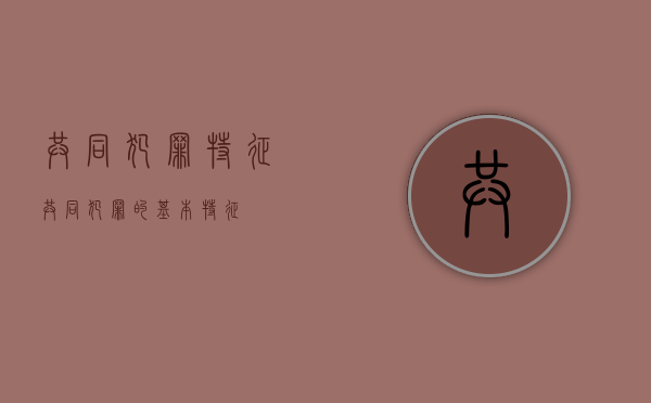 共同犯罪特征（共同犯罪的基本特征）