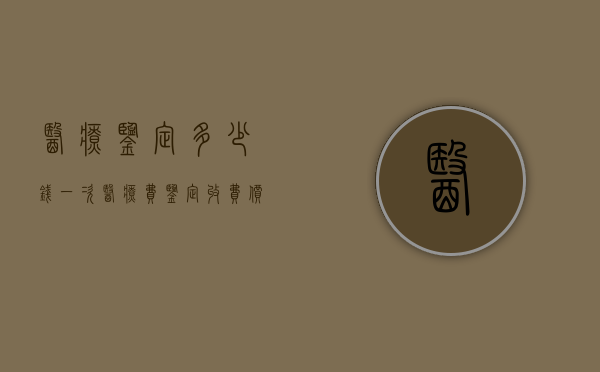 医疗鉴定多少钱一次（医疗费鉴定收费价格标准）