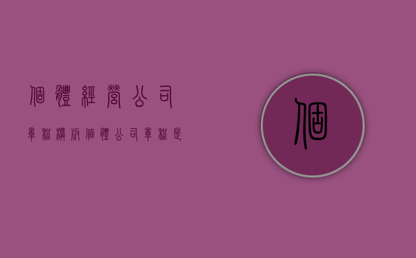 个体经营公司章程模板（个体公司章程是什么）