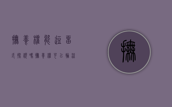 抚养权能逗留式探视吗（抚养权可以轮流吗）