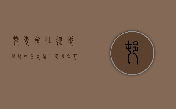 村委会在征地拆迁中会充当什么角色，可以组织征地吗？