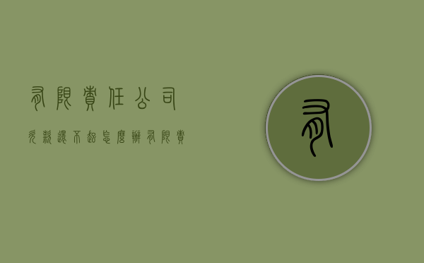 有限责任公司欠款还不起怎么办？（有限责任公司无力偿还债务,该如何执行法律）