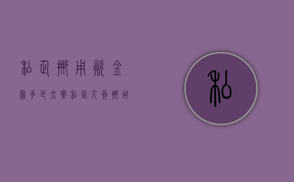 私企挪用资金罪多少立案（私企人员挪用资金罪）