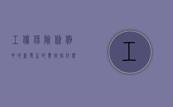 工伤保险条例中的新发生的费用指什么（新工伤保险法）