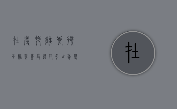 在农村离婚孩子抚养费具体付多少年（农村的离婚孩子抚养费给多少）