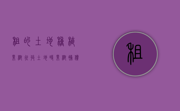 租的土地种植果树,征收土地时果树补偿属于谁（租地种树被征收怎么赔偿）