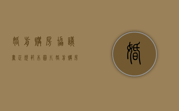 婚前购房协议书正规范本图片（婚前购房协议书正规范本模板）