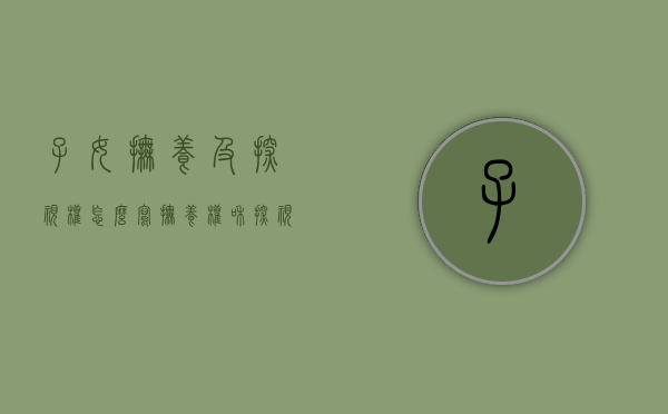 子女抚养及探视权 怎么写（抚养权和探视权怎么写）