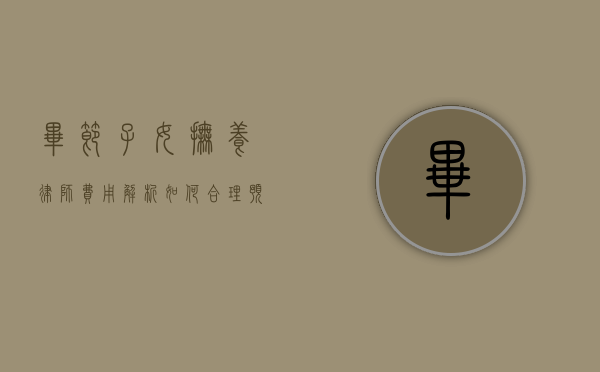 毕节子女抚养律师费用解析，如何合理预算与选择