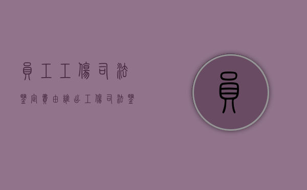 员工工伤司法鉴定费由谁出（工伤司法鉴定赔偿标准）