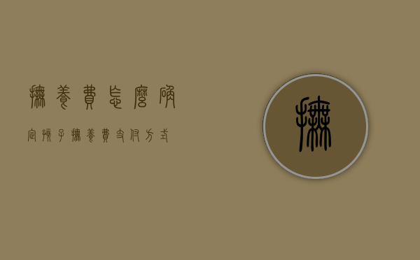 抚养费怎么确定（孩子抚养费支付方式）