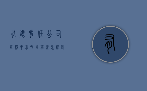 有限责任公司章程中小股东权益怎么保护（公司章程如何保护小股东权益）
