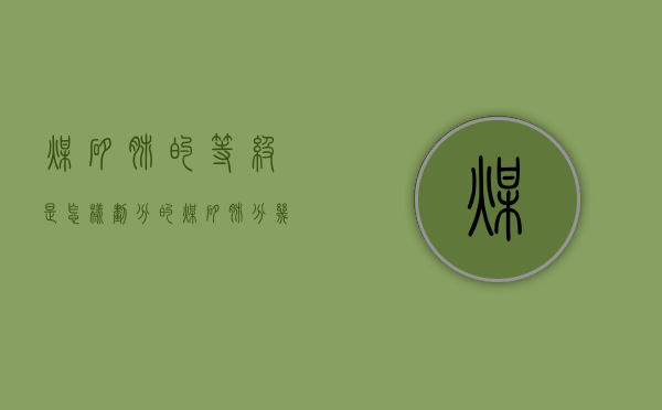 煤矽肺的等级是怎样划分的(煤矽肺分几级) 煤矽肺的等级是怎样划分的(煤矽肺分几级)