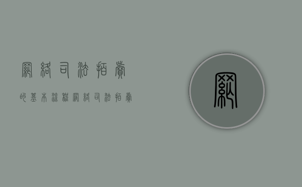 网络司法拍卖的基本流程（网络司法拍卖实施细则）