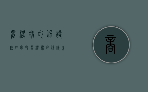 商标权的保护条件包括（商标权的保护要件）