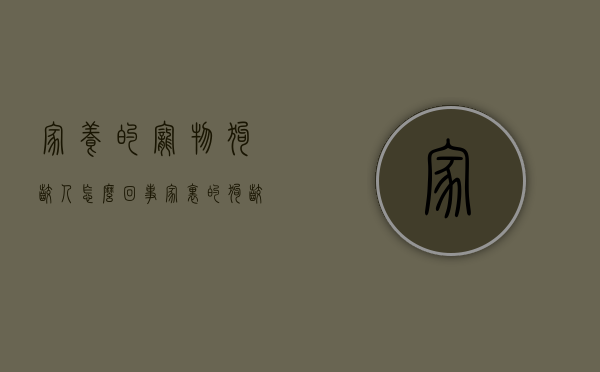 家养的宠物狗咬人怎么回事（家里的狗咬狗怎么办）