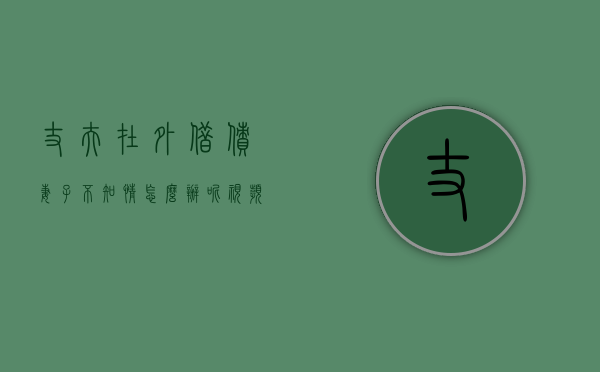 丈夫在外借债妻子不知情怎么办呢视频（老公借外债,老婆不知情的情况下,法院保全）