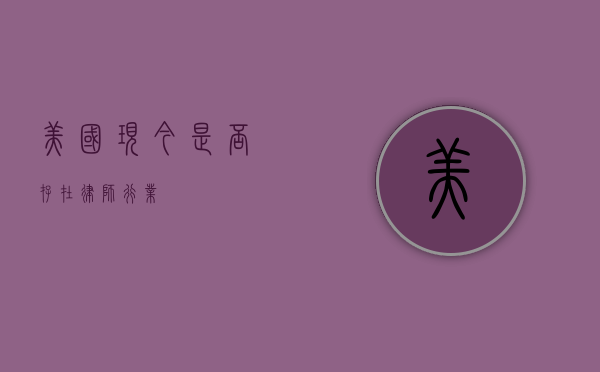 美国现今是否存在律师行业？