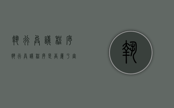 执行异议程序（执行异议程序是否属于审判程序）