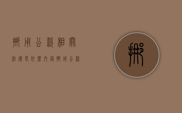 挪用公款相关法律是什么内容（挪用公款相关法律是什么内容呢）