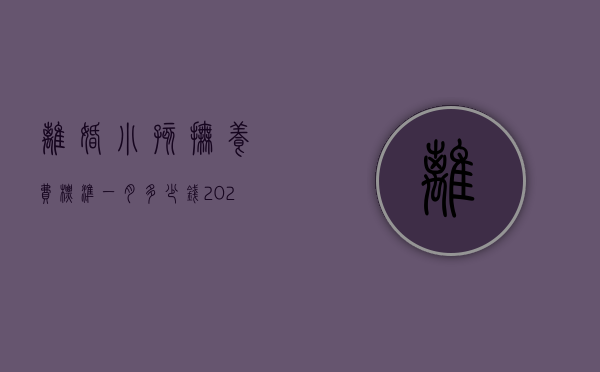 离婚小孩抚养费标准一月多少钱2021年（目前离婚小孩抚养费多少一个月）