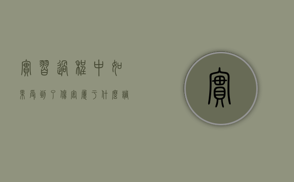 实习过程中如果受到了伤害属于什么（调查实践过程记录怎么写）