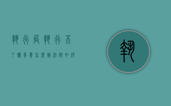 执行局执行不了抚养费,怎么办?（法院如何执行抚养费）