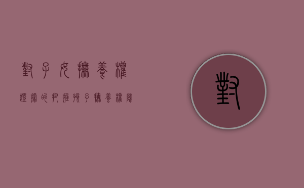 对子女抚养权证据的把握（孩子抚养权陈述范文）