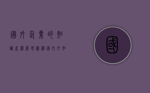 国外企业的知识产权管理机构（国内外知识产权）