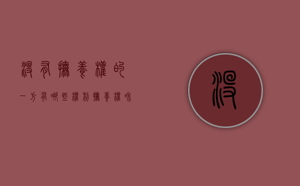 没有抚养权的一方有哪些权利（抚养权和监护权的区别）