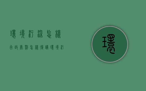 环境污染怎样行政处罚怎样复议（环境污染处罚的标准是什么）