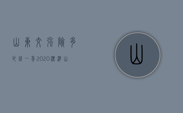 山东交强险多少钱一年2020标准（山东交强险多少钱一年2021）