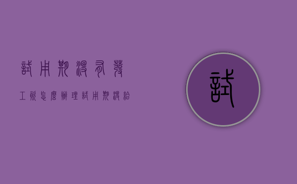 试用期没有发工资怎么办理（试用期没给工资）