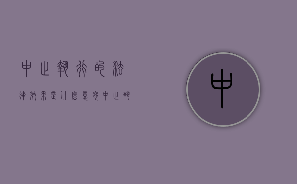 中止执行的法律效果是什么意思（中止执行的法律效果是什么样的）