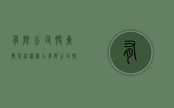 有限公司股东变更流程图片（有限公司股东变更流程图表）