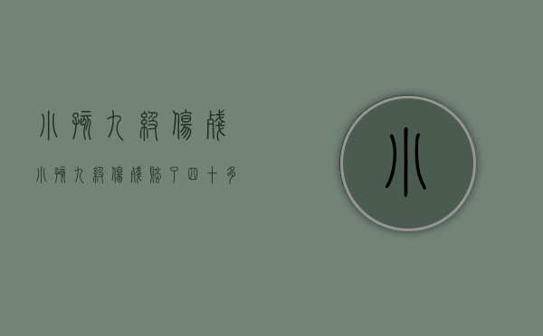 小孩九级伤残（小孩九级伤残赔了四十多万）