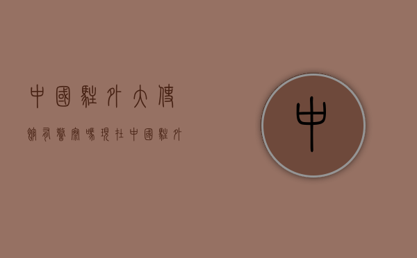 中国驻外大使馆有警察吗现在（中国驻外大使馆有警察吗知乎）