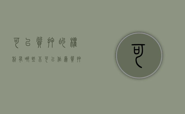 可以质押的权利有哪些（不可以作为质押物）