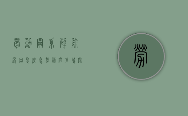 劳动关系解除原因怎么写（劳动关系解除思维导图）
