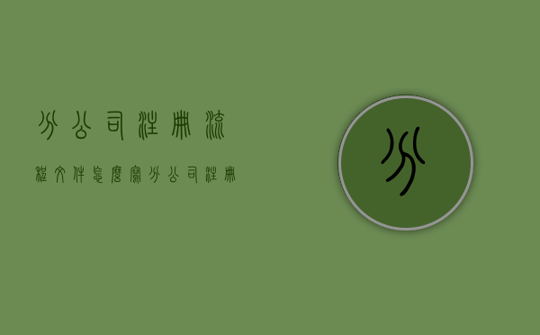 分公司注册流程文件怎么写（分公司注册流程文件是什么）