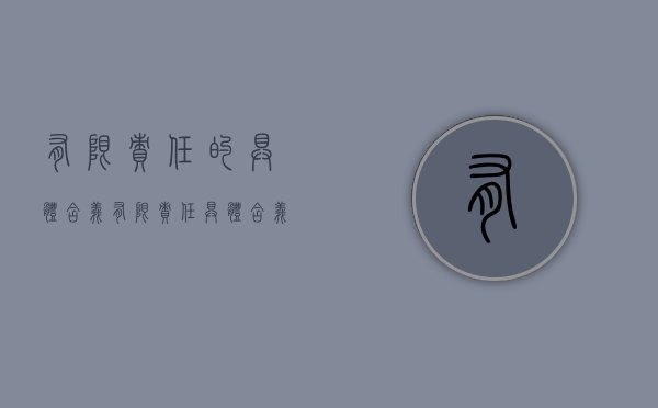 有限责任的具体含义（有限责任具体含义）