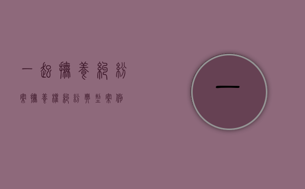 一起抚养纠纷案（抚养权纠纷典型案例）