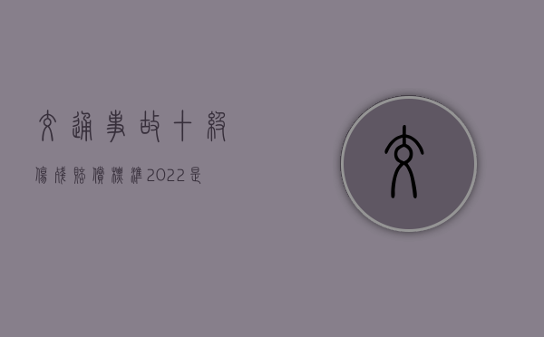 交通事故十级伤残赔偿标准2022是什么（交通伤残二级赔偿标准表）
