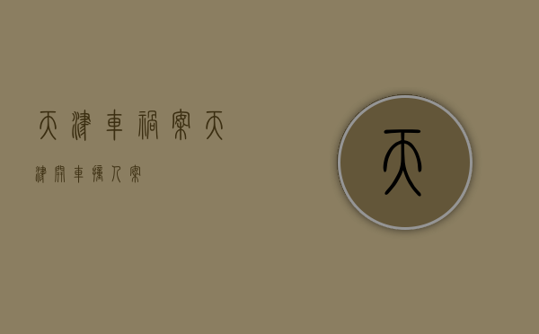 天津车祸案（天津开车撞人案）