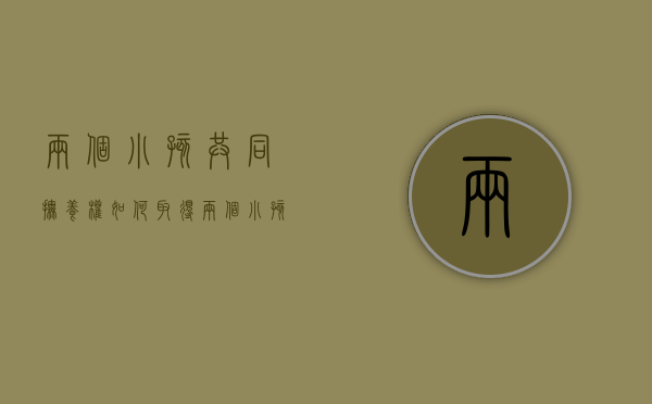 两个小孩共同抚养权如何取得（两个小孩抚养权可给一个人吗）